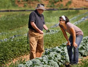 20140807_inq_fd1rodale07z-b