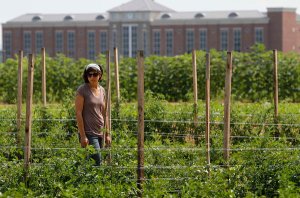 20140807_inq_fd1rodale07z-i